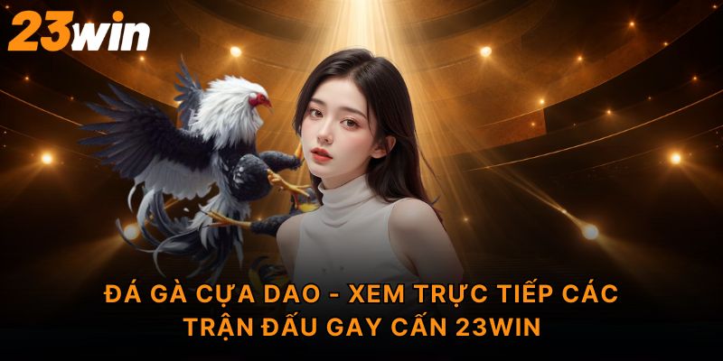 Đá gà cựa dao